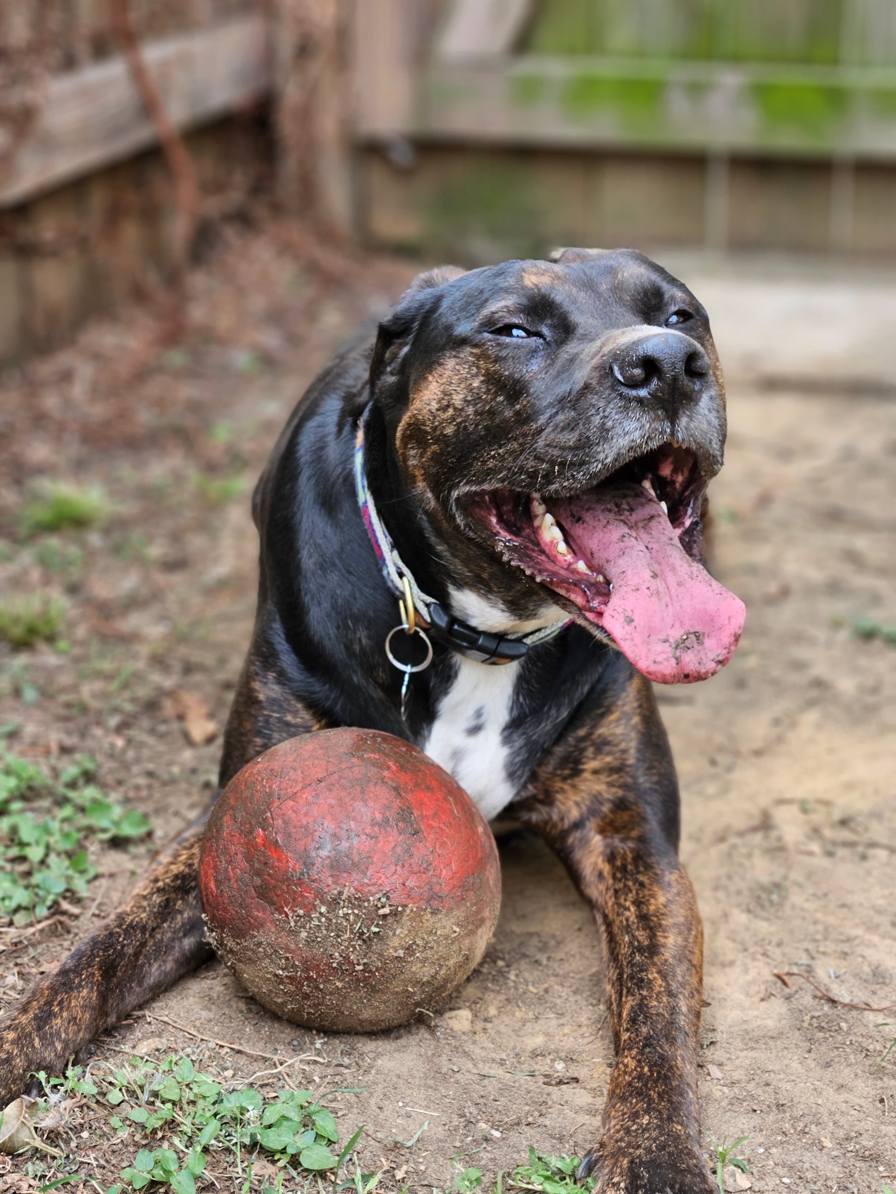 Remi being photogenic