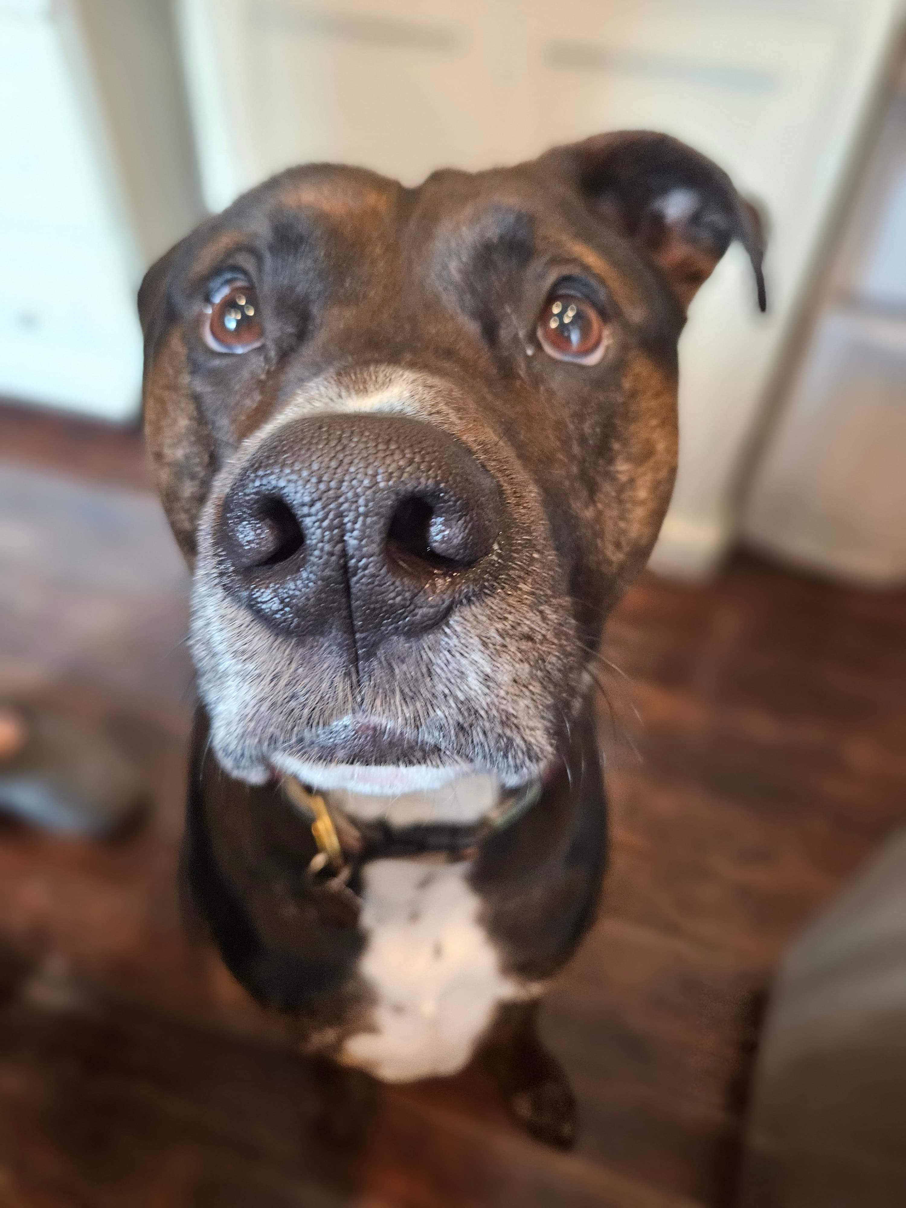 Remi in the sunshine