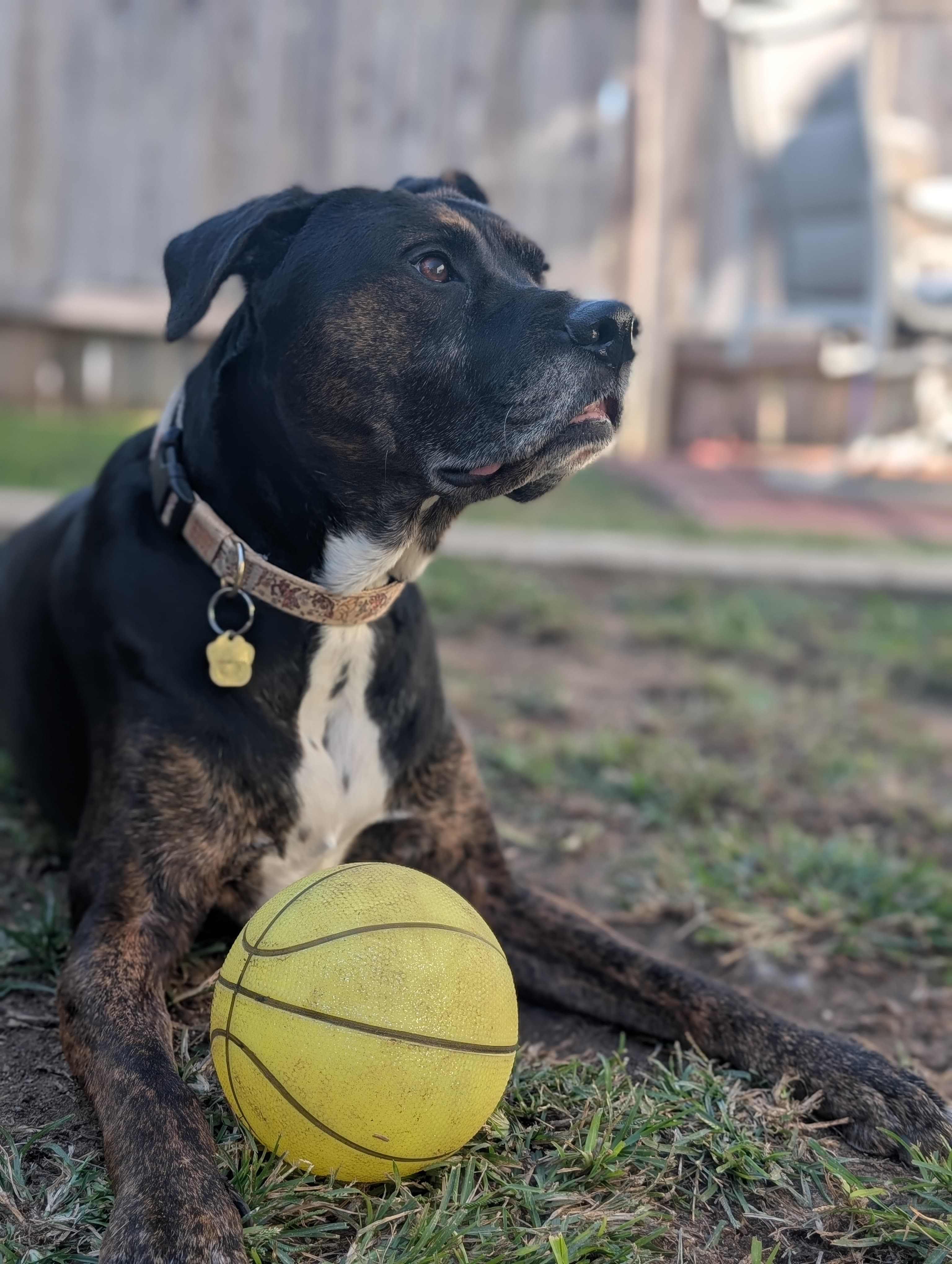 Remi looking handsome