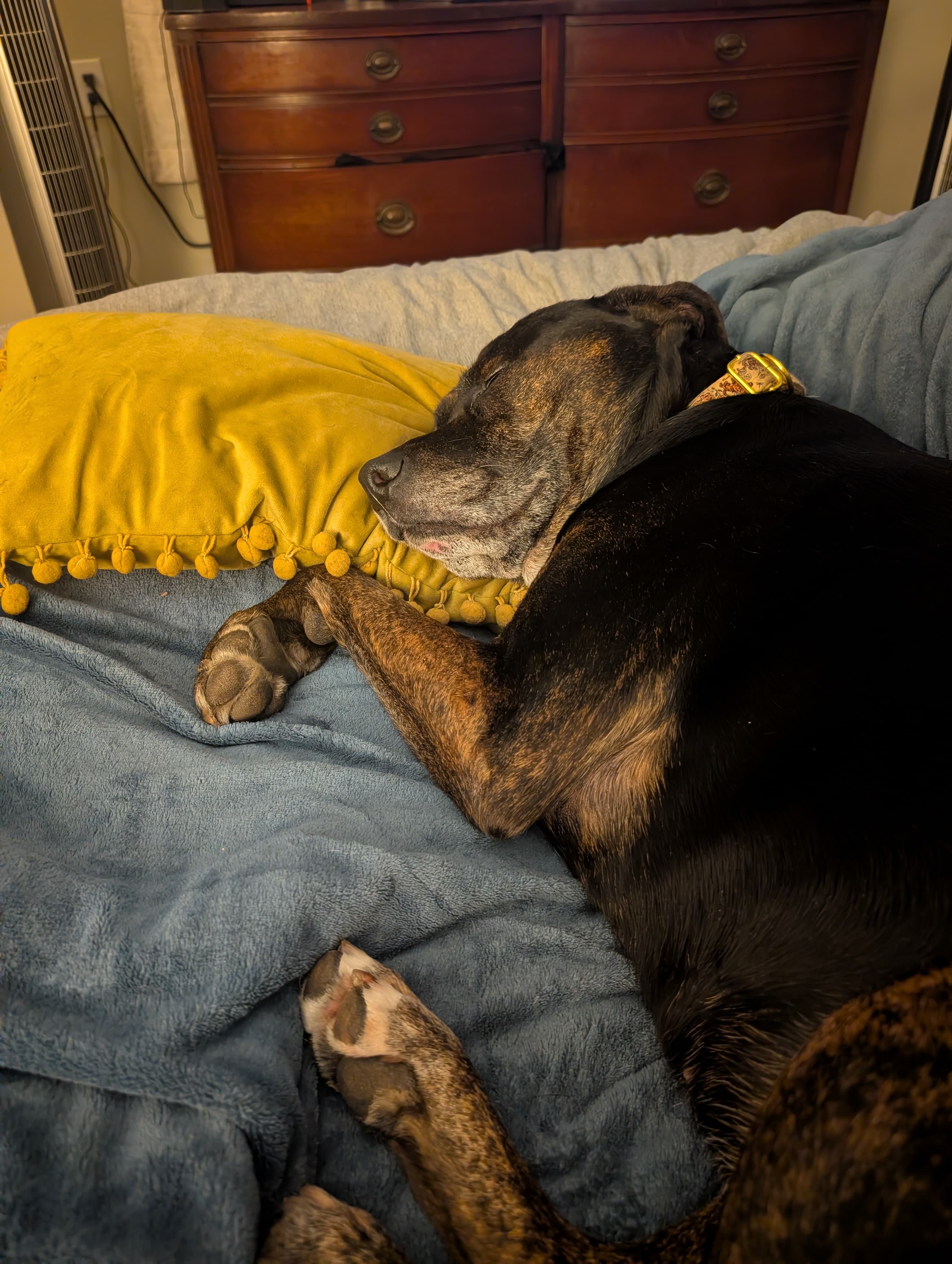 Remi late night thoughts