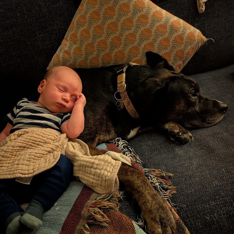 Remi babysitting his baby brother August
